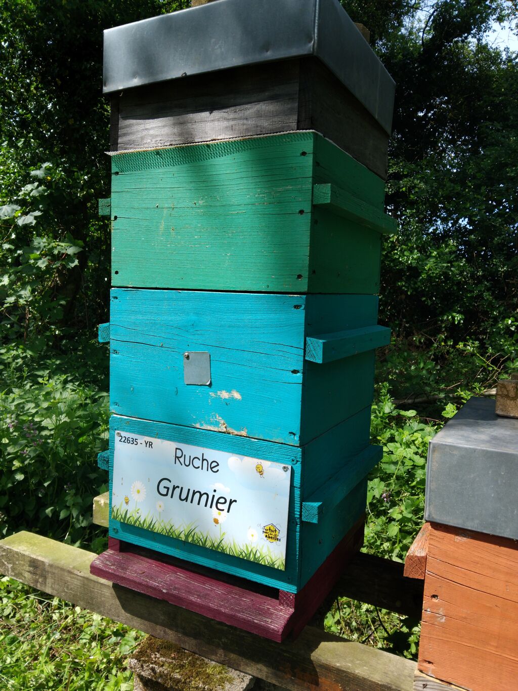 La ruche Grumier