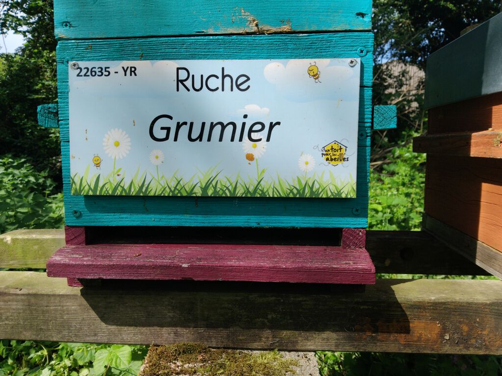 La ruche Grumier