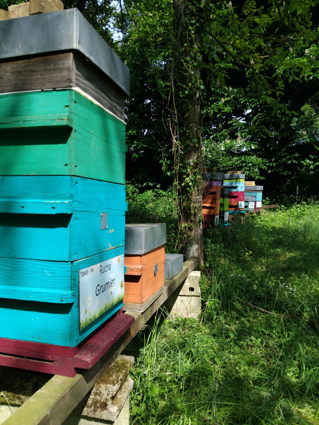 La ruche Grumier