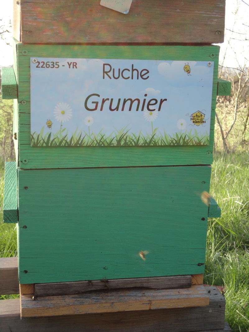 La ruche Grumier