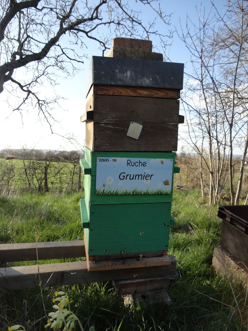 La ruche Grumier