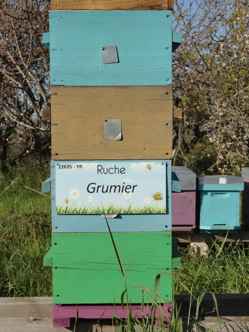 La ruche Grumier