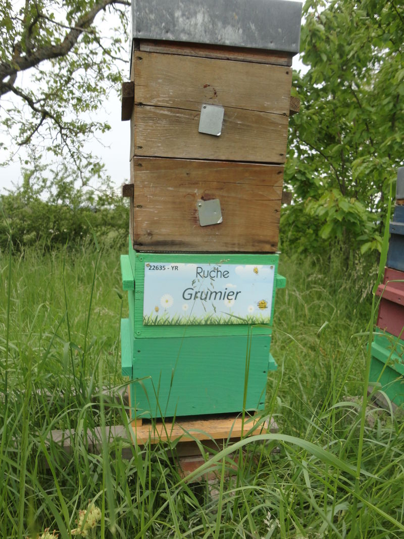 La ruche Grumier