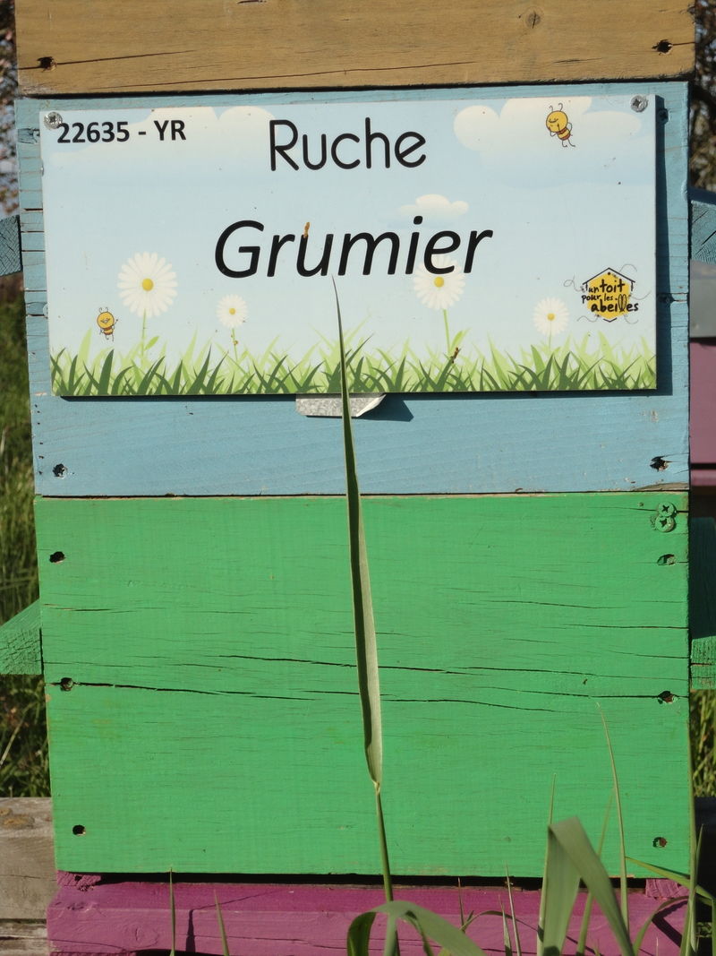 La ruche Grumier