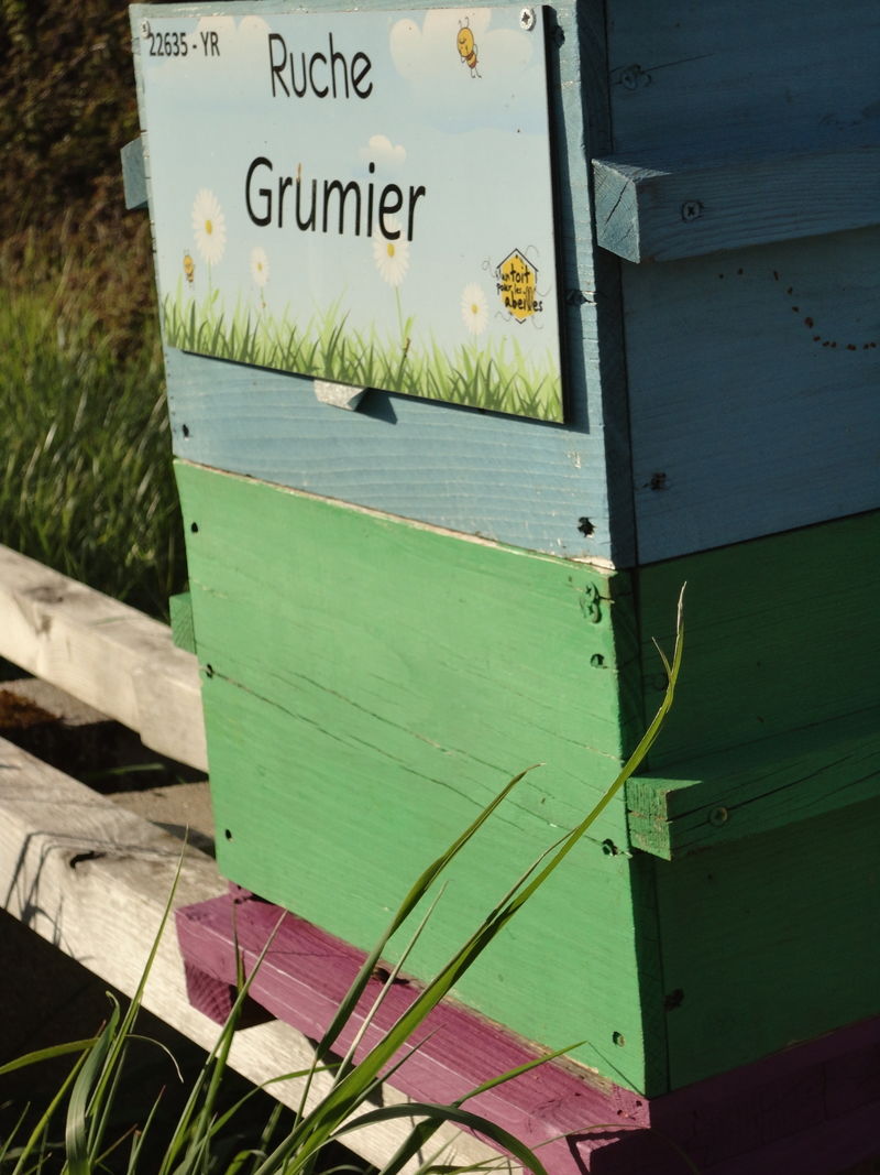 La ruche Grumier