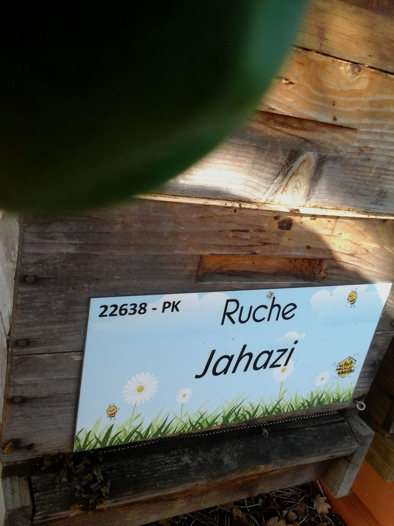 La ruche
