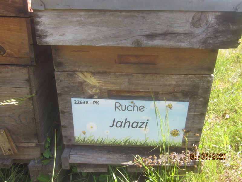 La ruche Jahazi