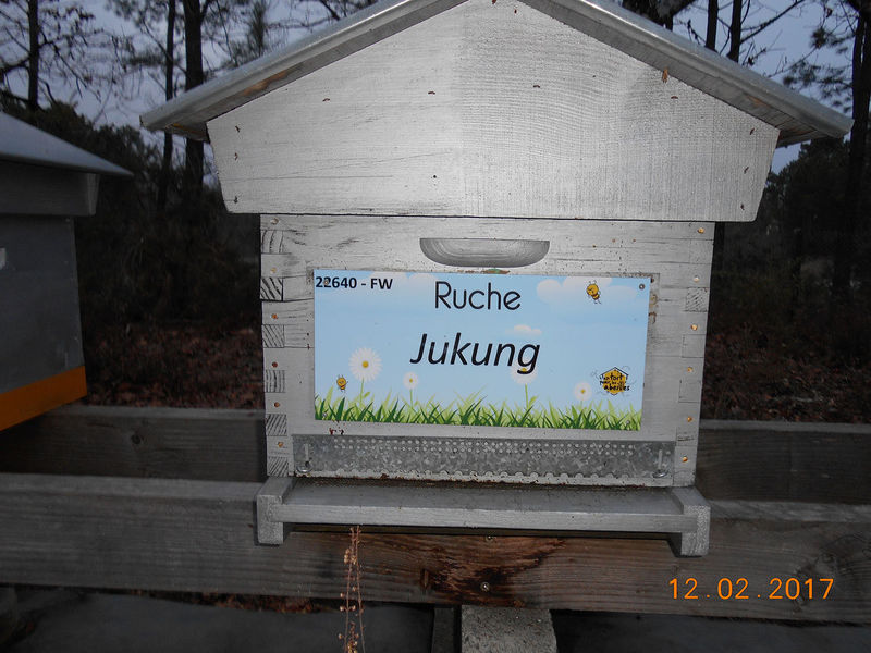 La ruche Jukung