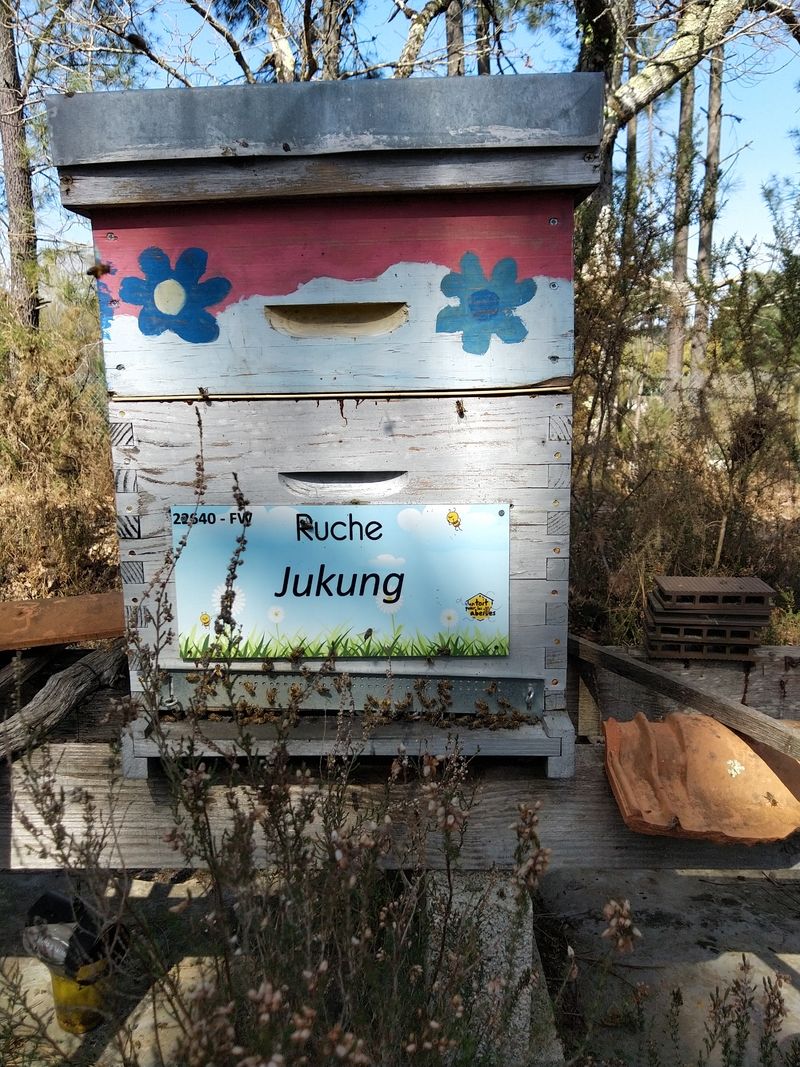 La ruche Jukung