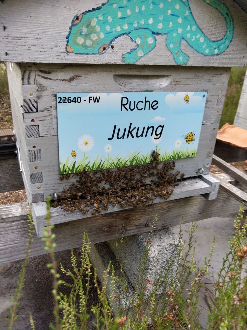 La ruche Jukung