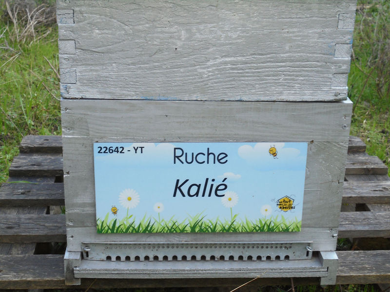 La ruche
