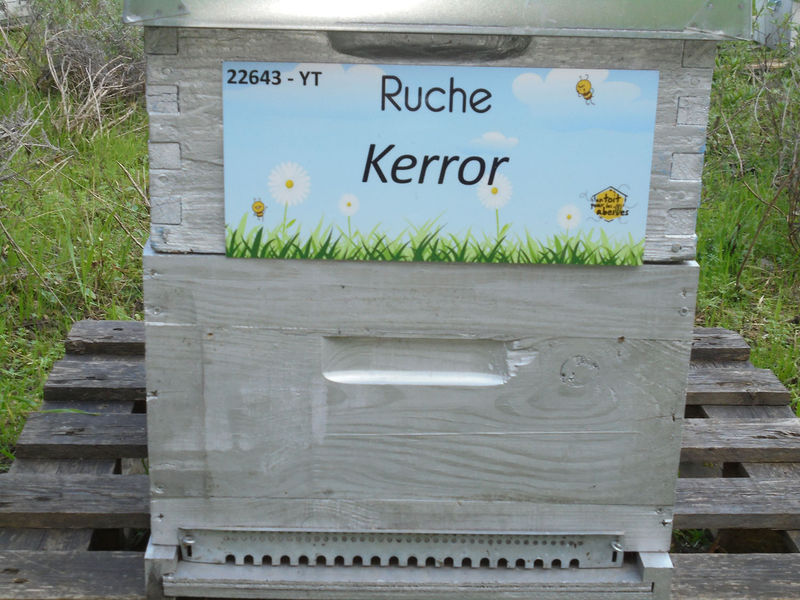 La ruche