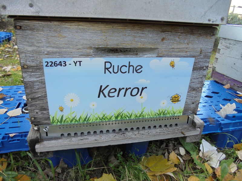 La ruche Kerror