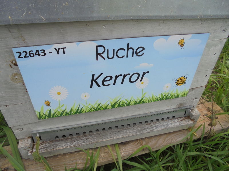 La ruche Kerror