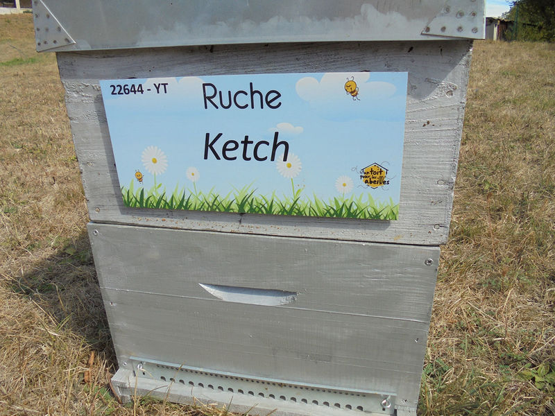 La ruche Ketch