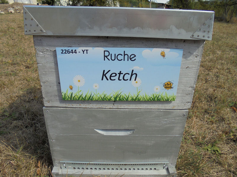 La ruche Ketch