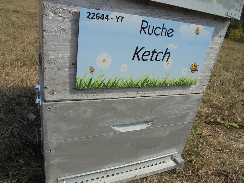La ruche Ketch
