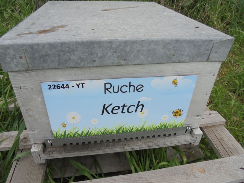La ruche Ketch