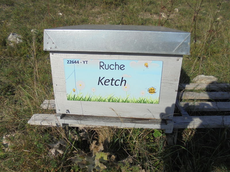 La ruche Ketch