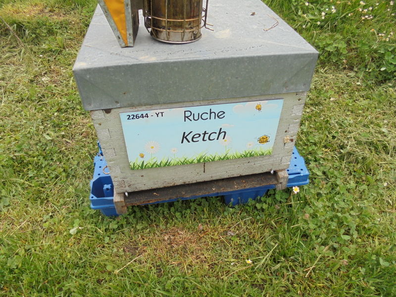 La ruche Ketch