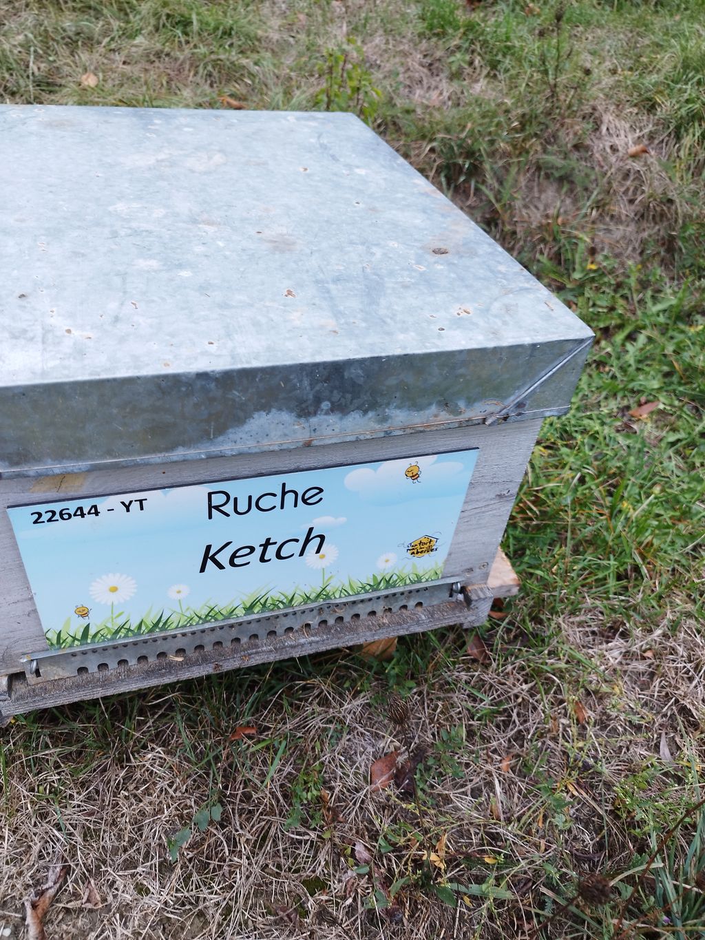 La ruche Ketch