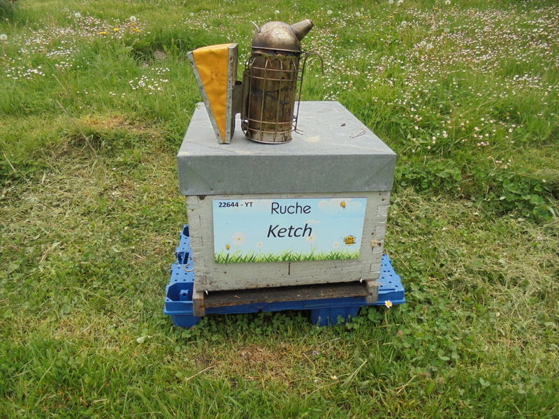 La ruche Ketch