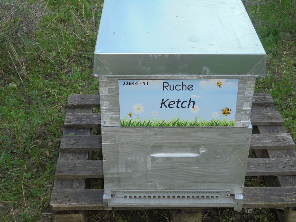 La ruche Ketch