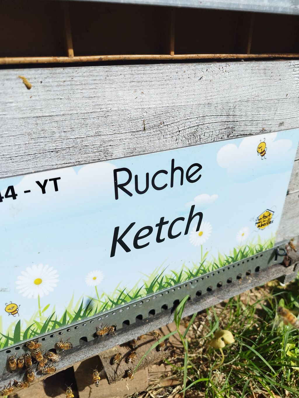 La ruche Ketch