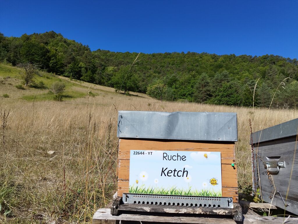 La ruche Ketch