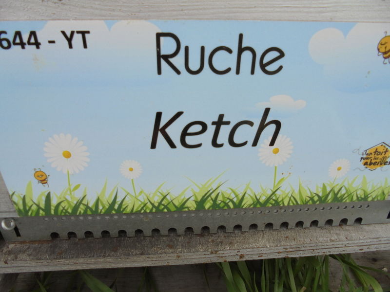 La ruche Ketch
