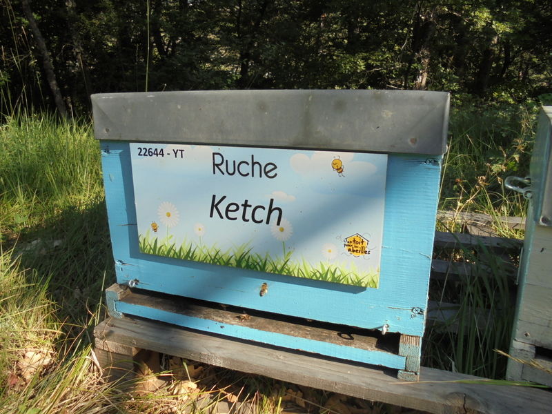 La ruche Ketch