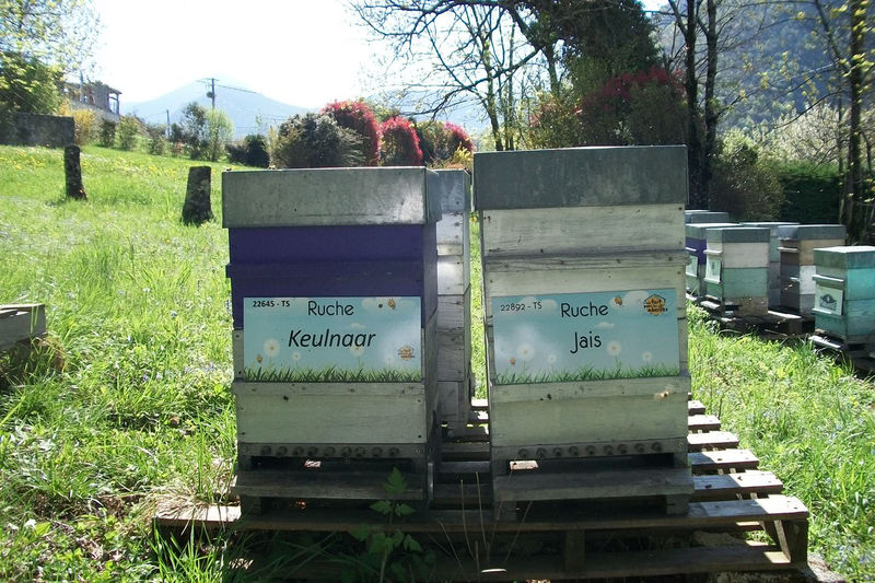 La ruche Keulnaar