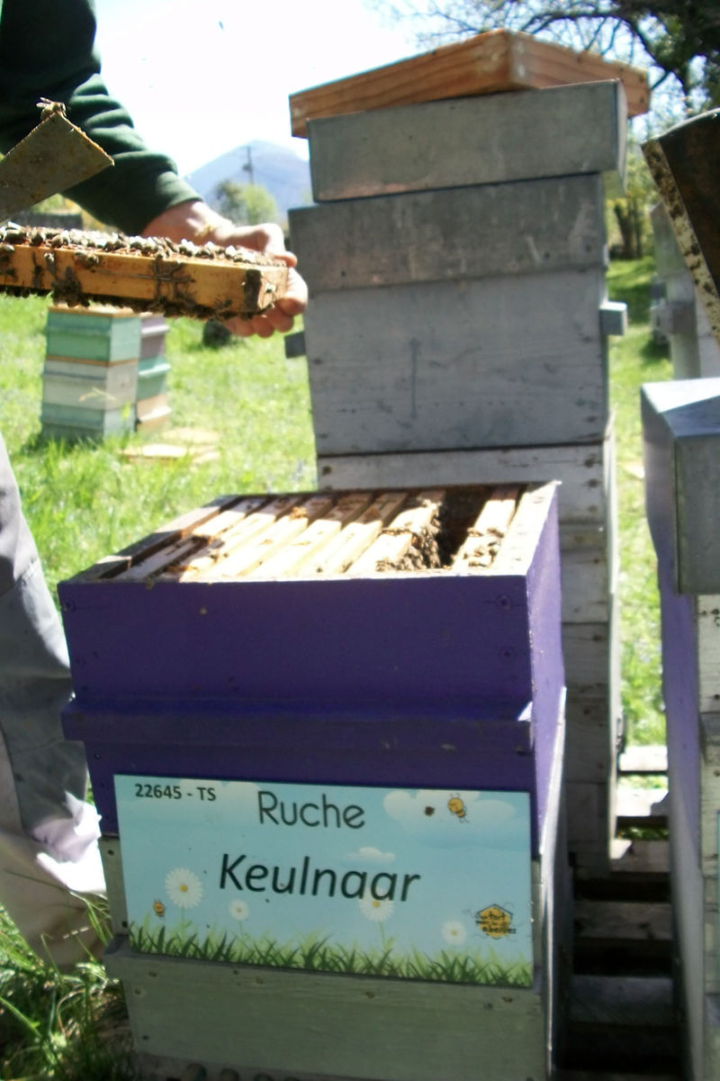 La ruche Keulnaar