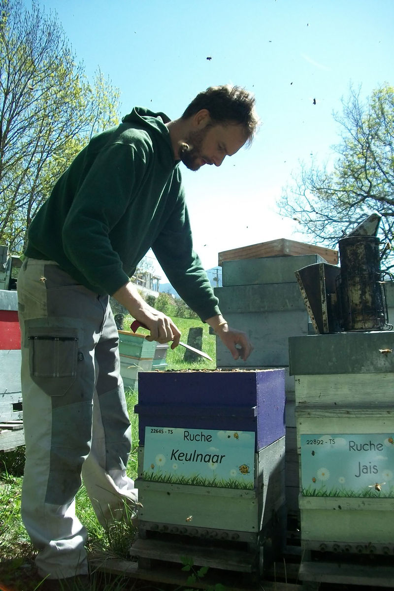 La ruche Keulnaar