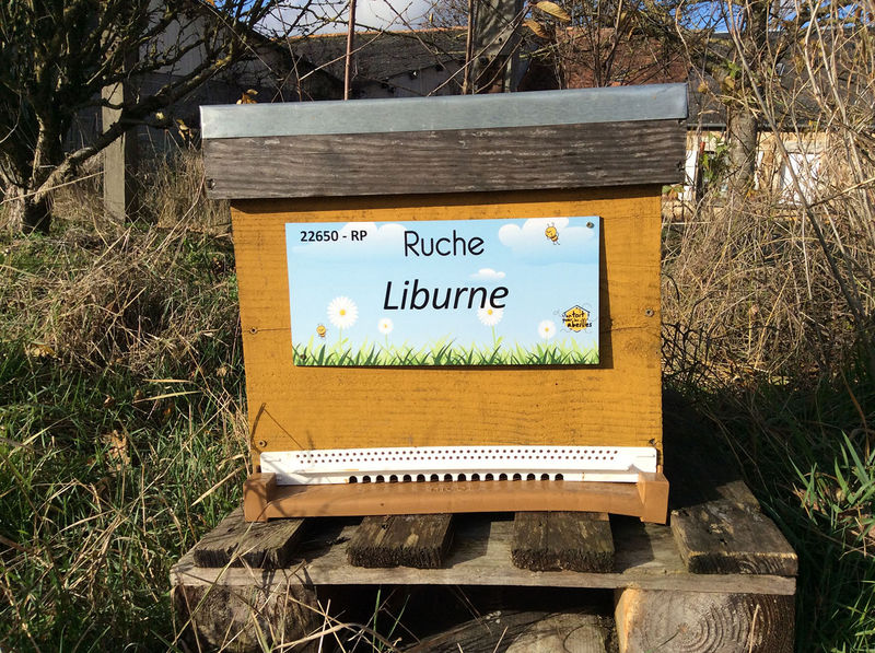 La ruche