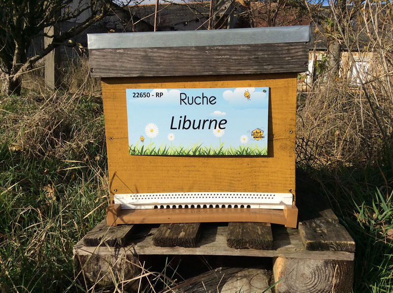 La ruche Liburne