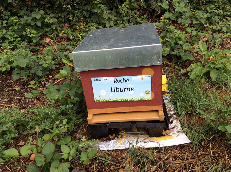 La ruche Liburne