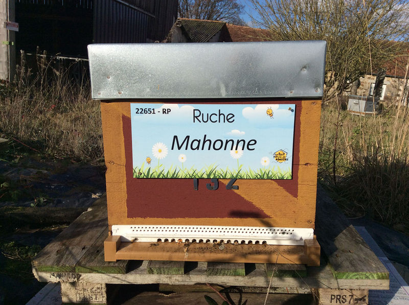 La ruche