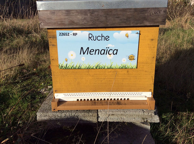 La ruche