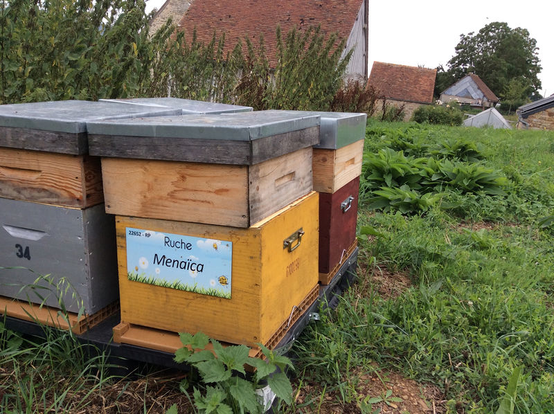 La ruche Menaïca