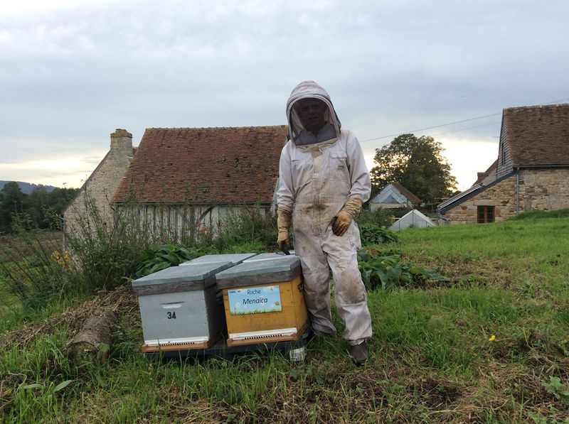 La ruche Menaïca