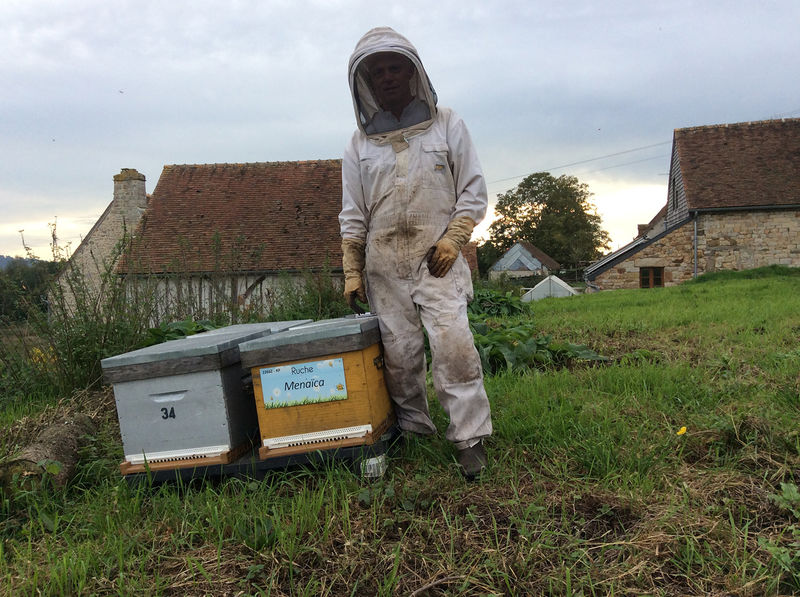 La ruche Menaïca