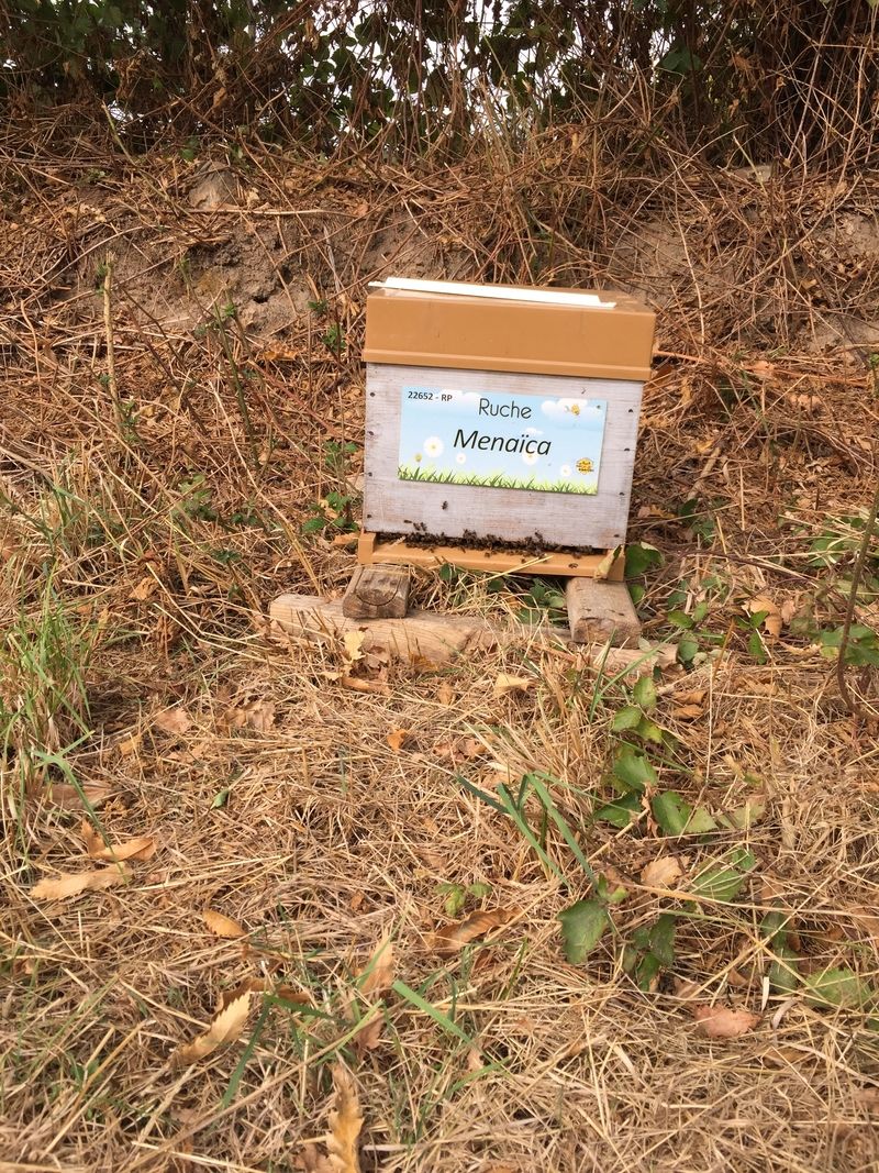 La ruche Menaïca