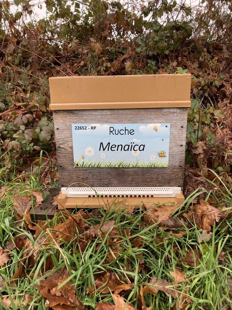La ruche Menaïca