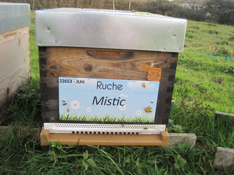 La ruche