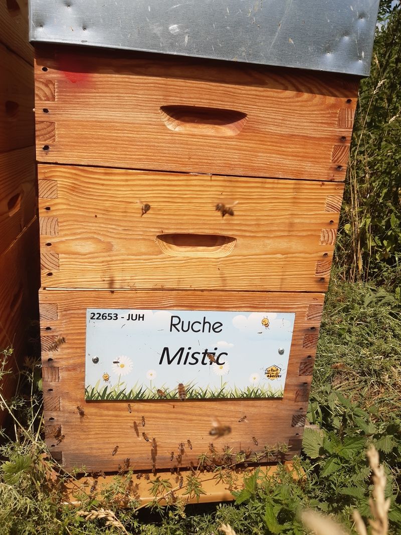 La ruche Mistic