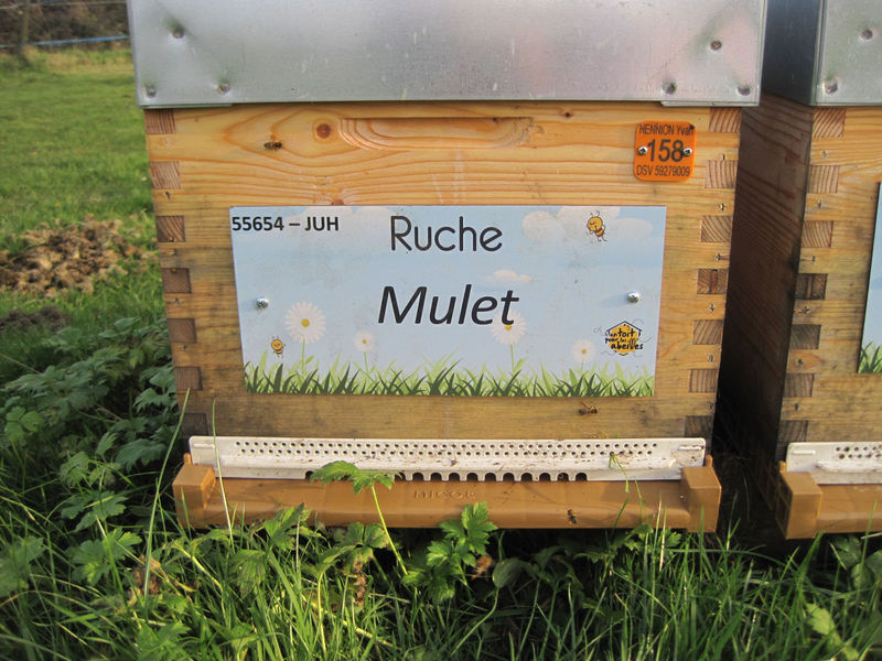 La ruche