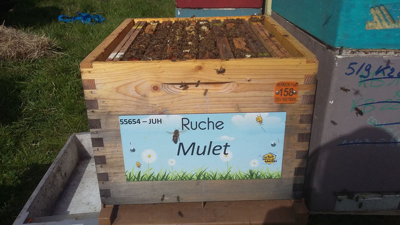 La ruche Mulet