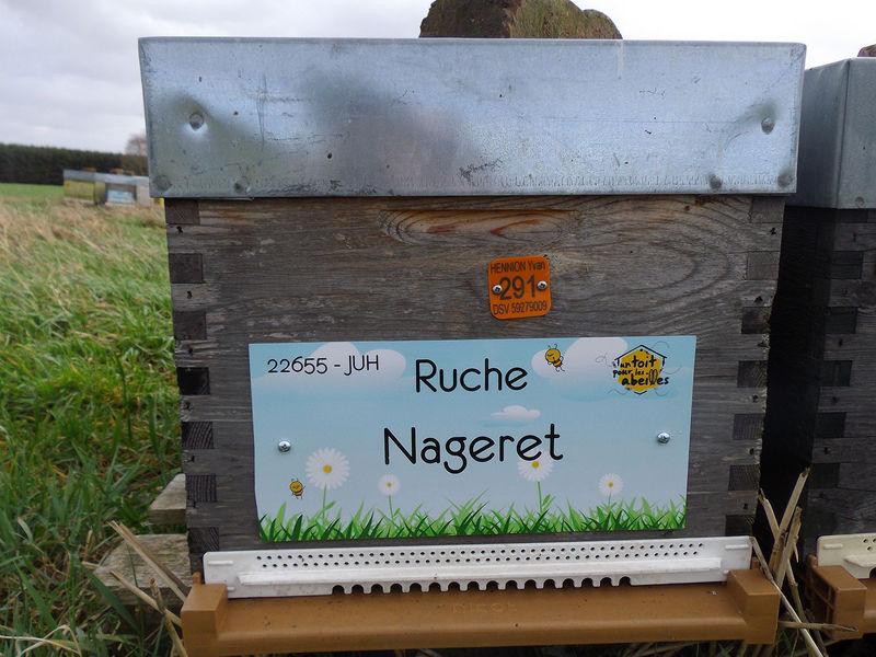 La ruche Nageret