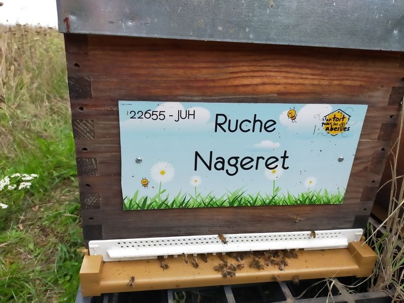 La ruche Nageret